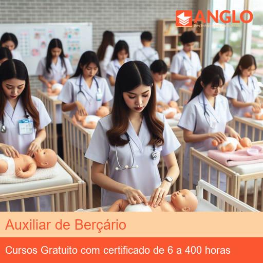 Auxiliar de Berçário